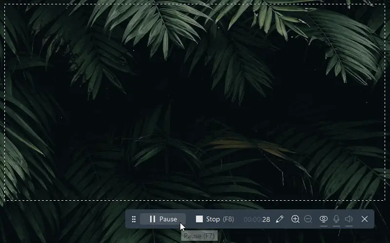 Icecream Screen Recorder 6